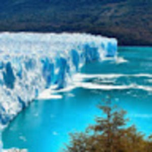 Meet your Posher, Bill